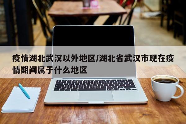 疫情湖北武汉以外地区/湖北省武汉市现在疫情期间属于什么地区